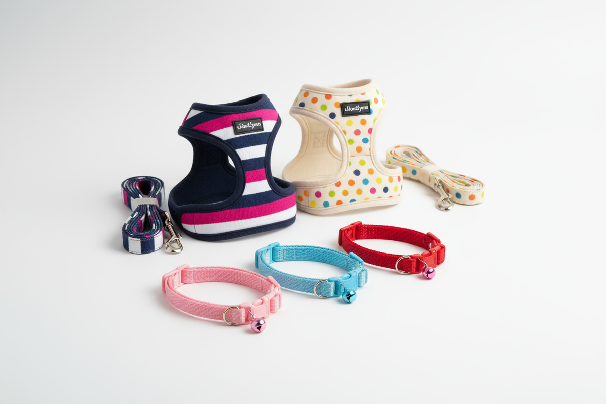 Cat Collars and Harnesses