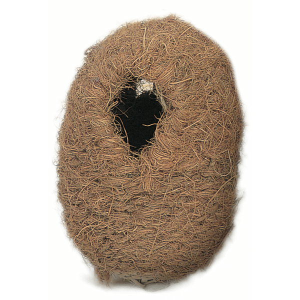 BIRDNEST BAMBOO / COCO-EXOTIC