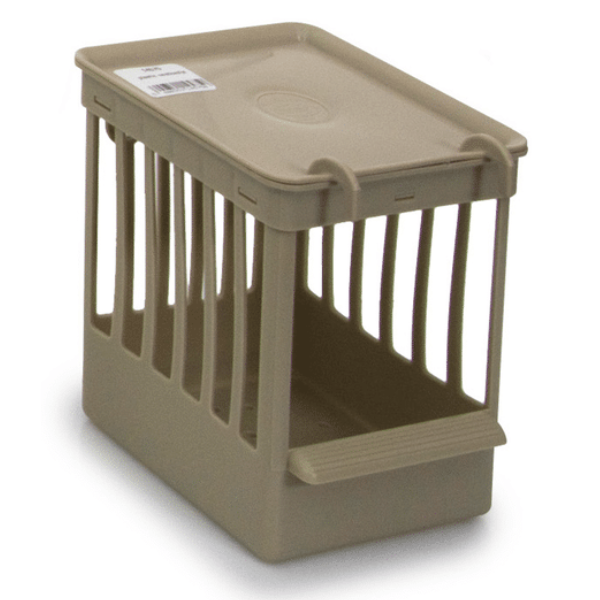 NESTBOX PLASTIC CANARY