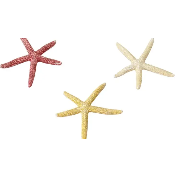 EBI STARFISH ASSORTED 10CM