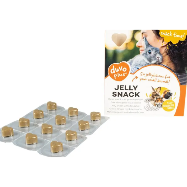 GELEE SNACK DANDELION 12PCS