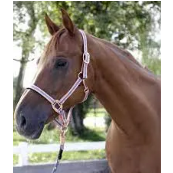 KERBL HALTER CORA - PONY