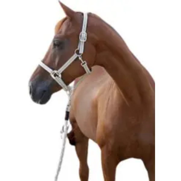 KERBL HALTER CORA TAUPE/MINT/WHITE COB