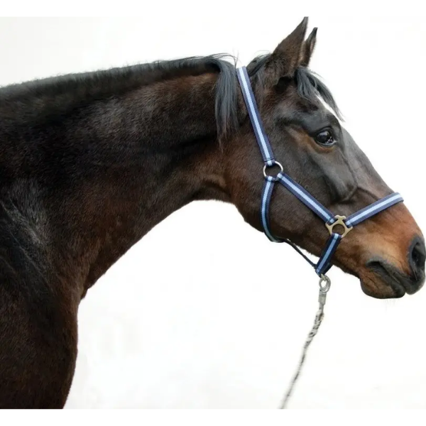 KERBL NYLON HALTER HIPPO FOAL