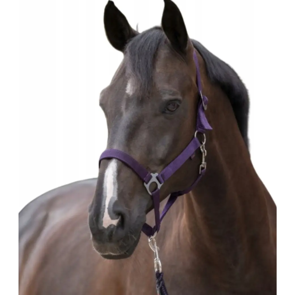 KERBL NYLON HALTER HIPPO FOAL AUBERGINE