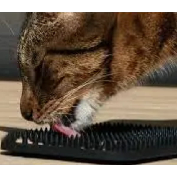 LEX LICKING MAT W/STUDS 10X20CM