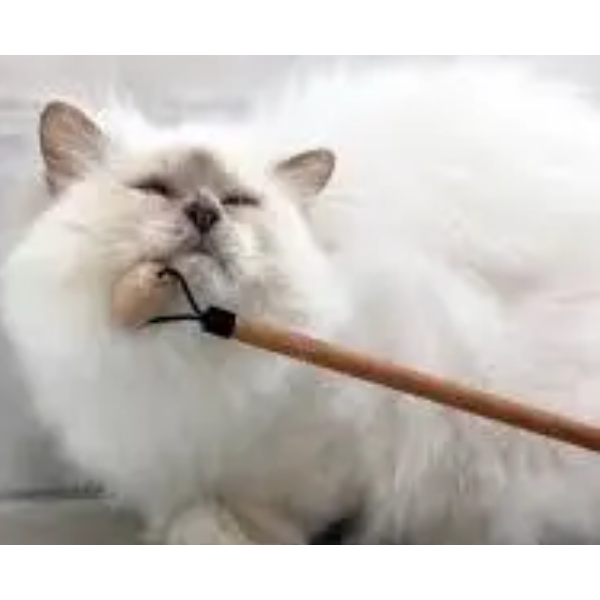 LOU MASSAGE SOCIALIZER STICK