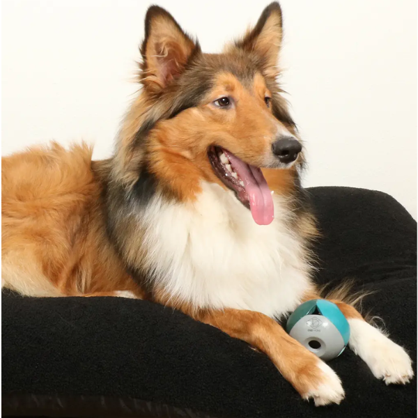 LUCA LAGOON DOG TOY