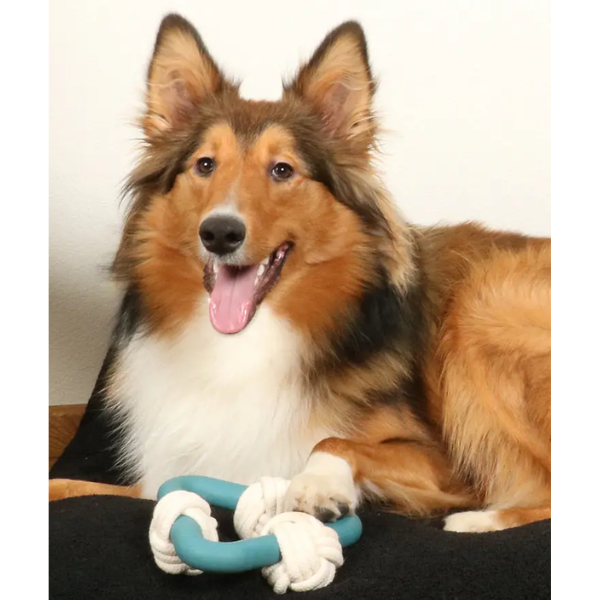 MILOU LAGOON DOG TOY