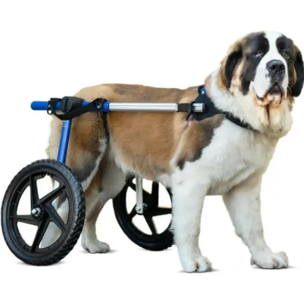 WALKIN' WHEELS REAR SPLINT SIZE LARGE