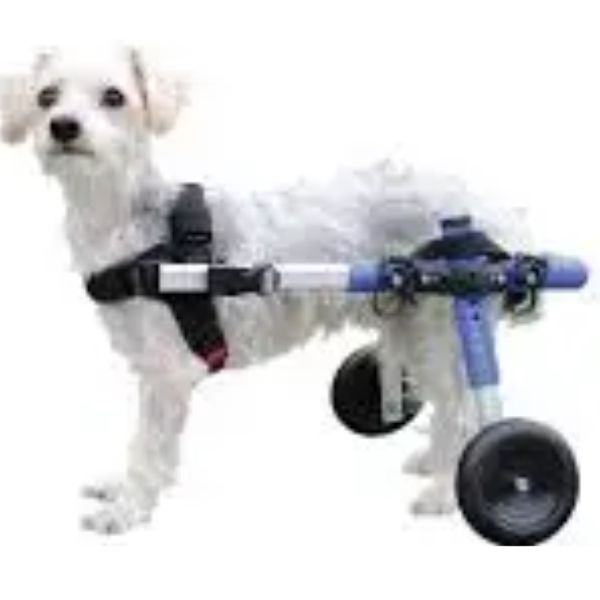 WALKIN'WHEELS SMALL WHEELCHAIR 6-8''