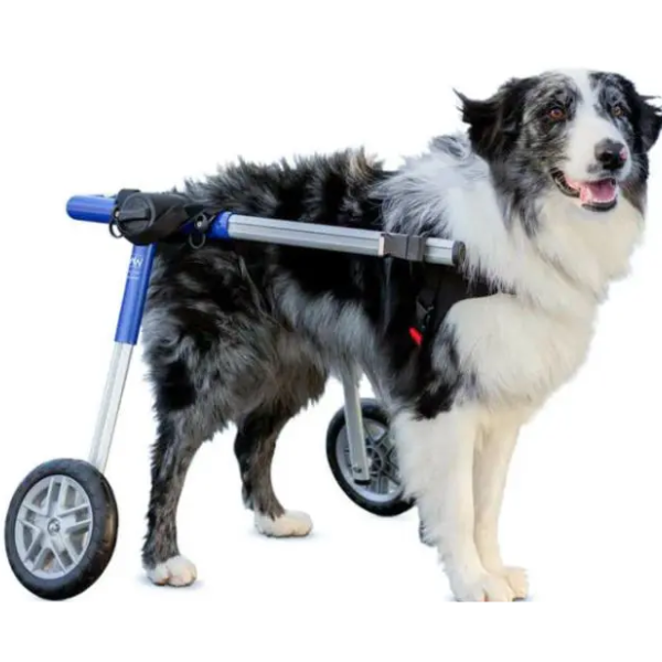 WALKIN'WHEELS WHEELCHAIR MEDIUM 10-12''