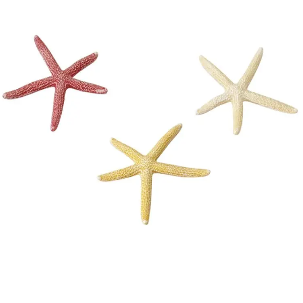 EBI STARFISH ASSORTED 10CM