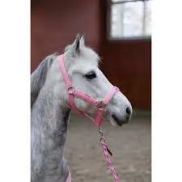 KERBL LILLI STARLIGHT HALTER W/LEAD PONY