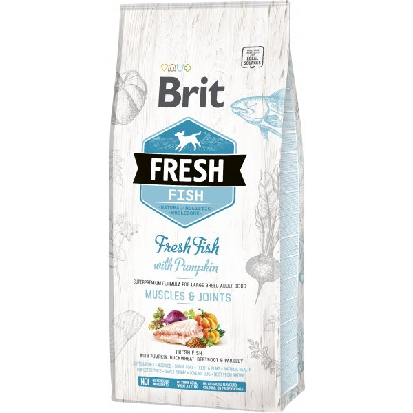 BRIT Fish Pumpkin Adult Large