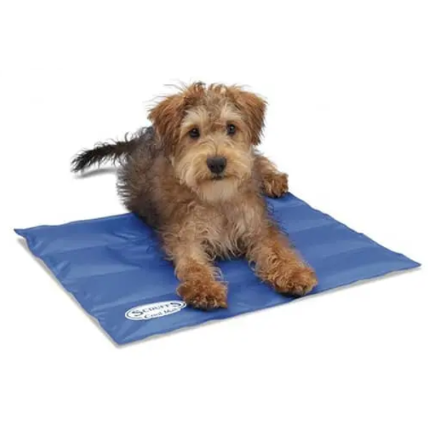 SCRUFFS SELF COOLING MAT SMALL BLUE
