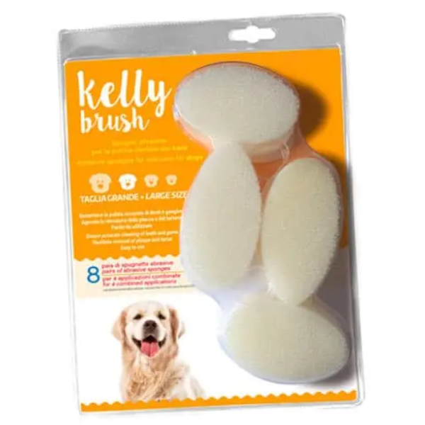 KELLY BRUSH LARGE