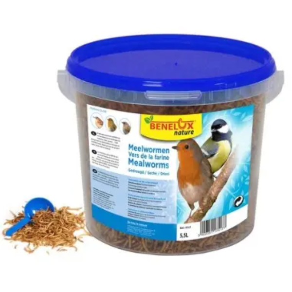 BENELUX DRIED MEALWORM BCKT 5.5L