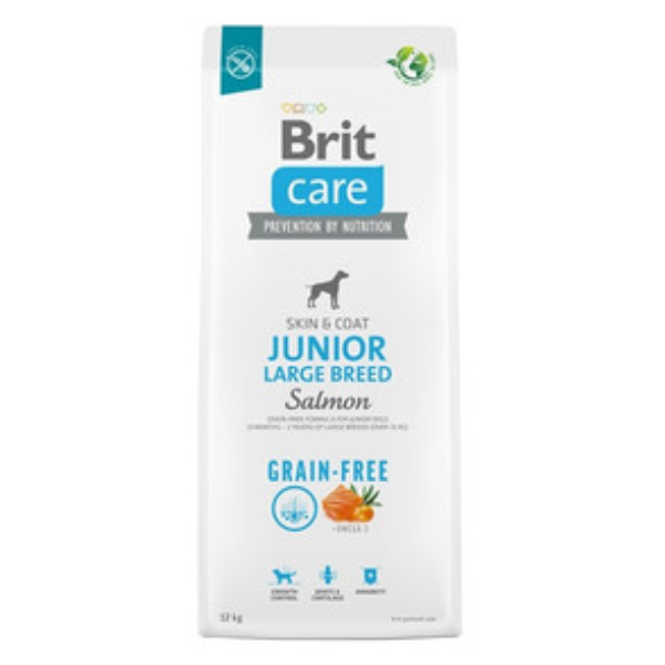 BRIT- SP DOG SALMON GF JUNIOR L