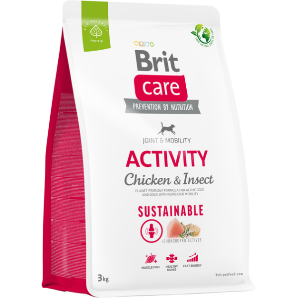 BRIT Activity (Chicken & Insect)