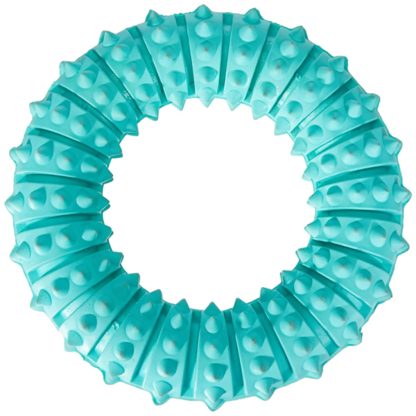 Trixie Denta Fun Ring Mint 12 cm