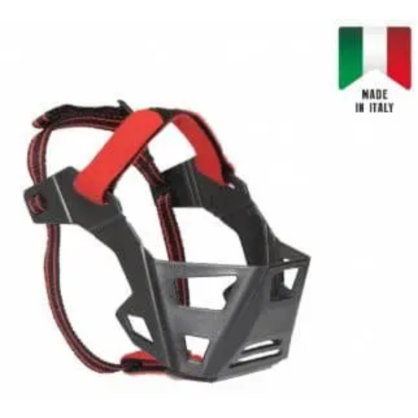 MUZZLE FRENCH BULLDOG