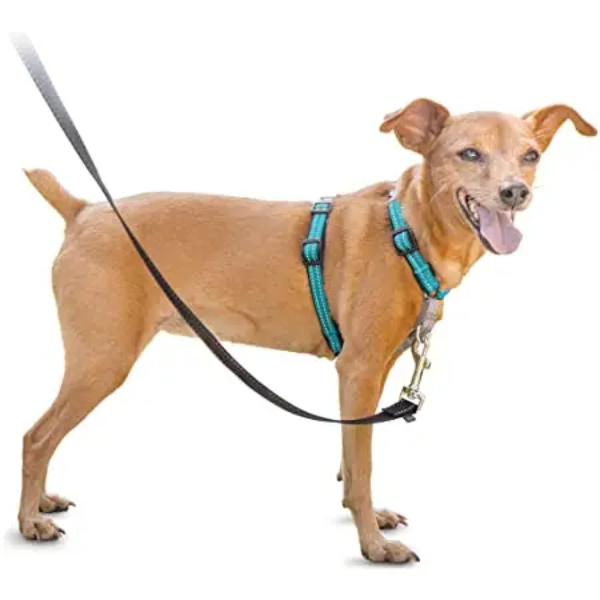DELUXE EASYWALK HARNESS SMALL