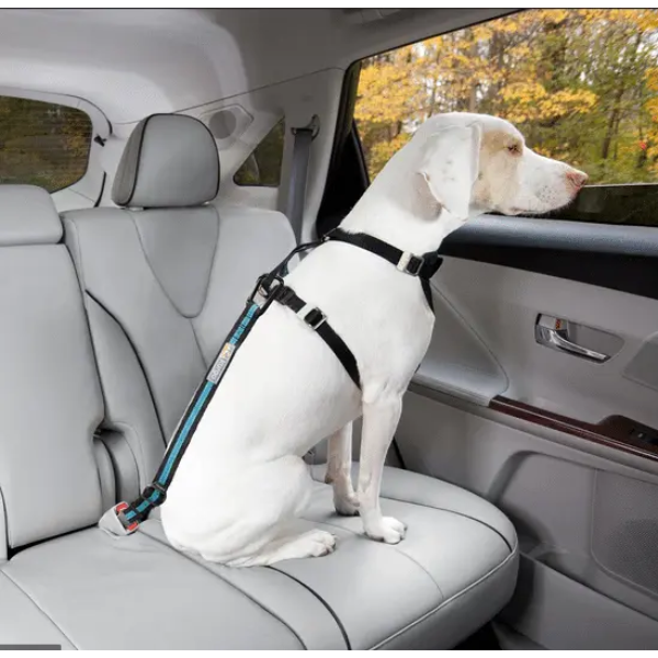DIRECT TO SEATBELT TETHER BLUE