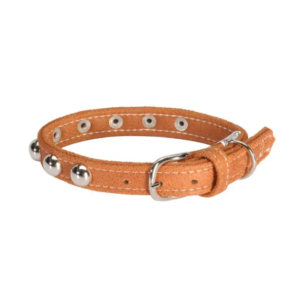 BORDEAUX COLLAR W/STUDS 20X450MM
