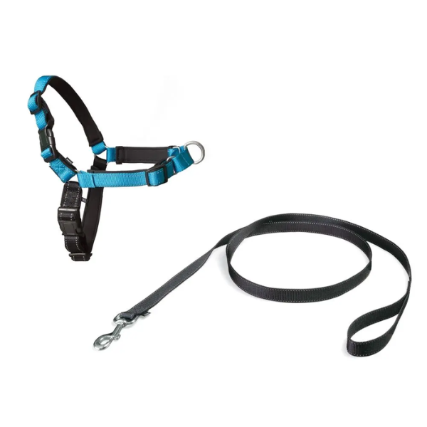 DELUXE EASYWALK HARNESS MEDIUM OCEAN