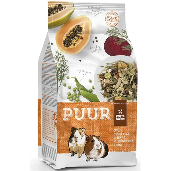 PUUR GUINEA PIG, 2.5kg