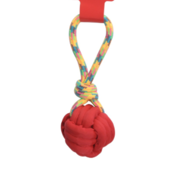 PLAY BALL W/ROPE HANDLE 30CM