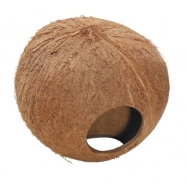 EBI COCONUT GLOBEHOUSE 130MM