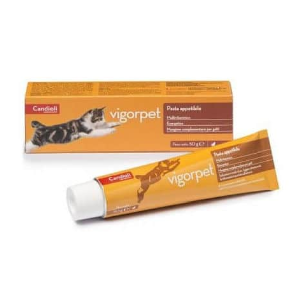 VIGORPET PASTE FOR CATS 50G