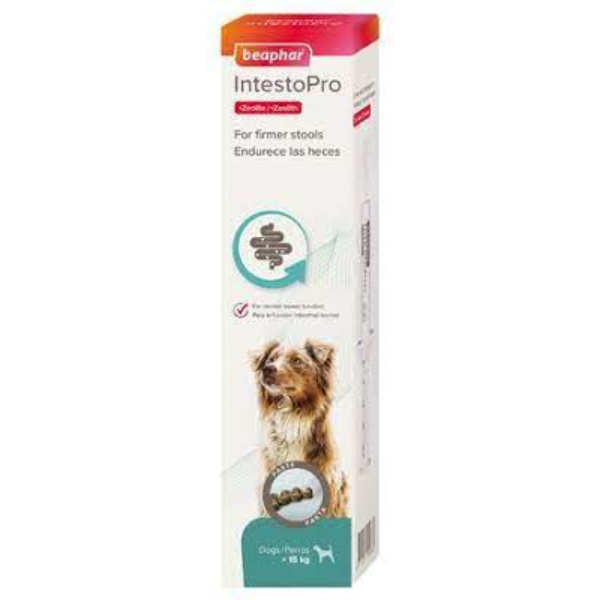 BEAPHAR INTESTOPRO PASTE LARGE DOGS 2X20ML