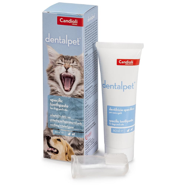 DENTAL PET TOOTHPASTE