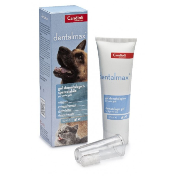 DENTALMAX TOOTHPASTE 50ML