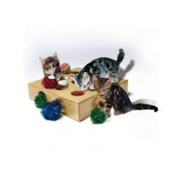 CAT TOY