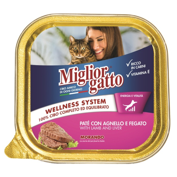 MIGLIOR GATTO AGN/FEGATO 100G