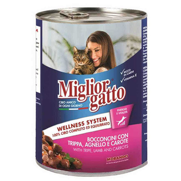 MIGLIOR GATTO BOCC. TRIP/AGN/CA 405G