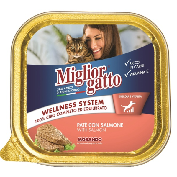 MIGLIOR GATTO SALMONE 100G