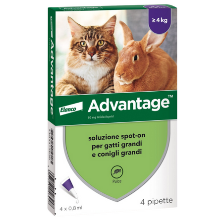Advantage Spot On for Cats & Rabbits 4kg+