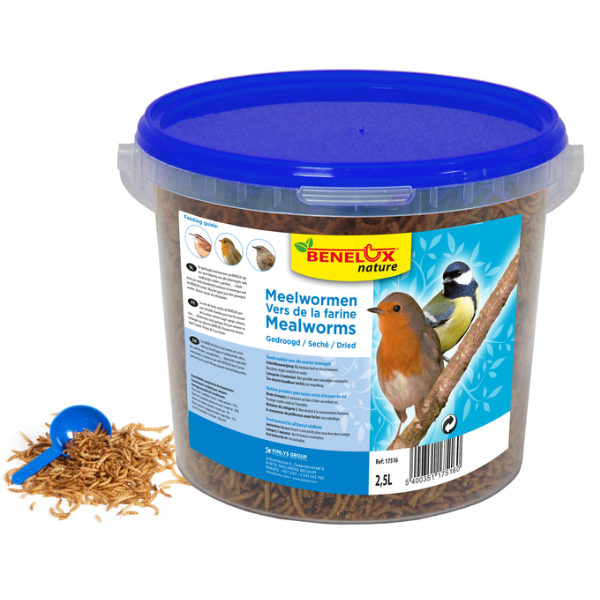 BENELUX MEALWORM BUCKET 2.5L