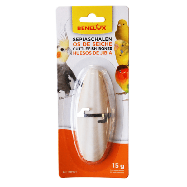 CUTTLEFISH BONES X1PCS