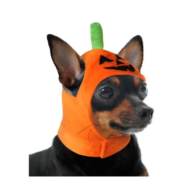 HALLOWEEN HAT