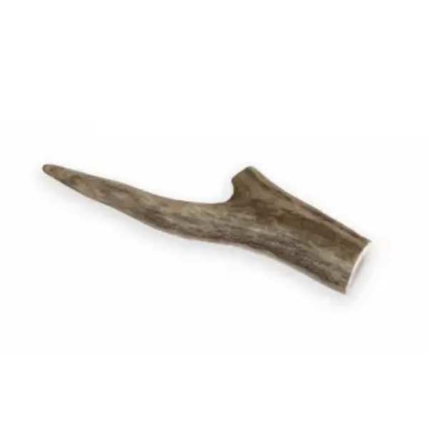 ANTLERS MEDIUM