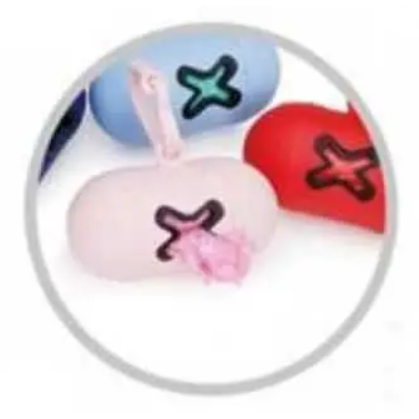 MINI BAG CITY AND GO