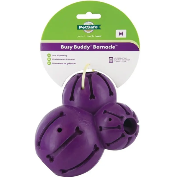 BUSY BUDDY BARNACLE MEDIUM