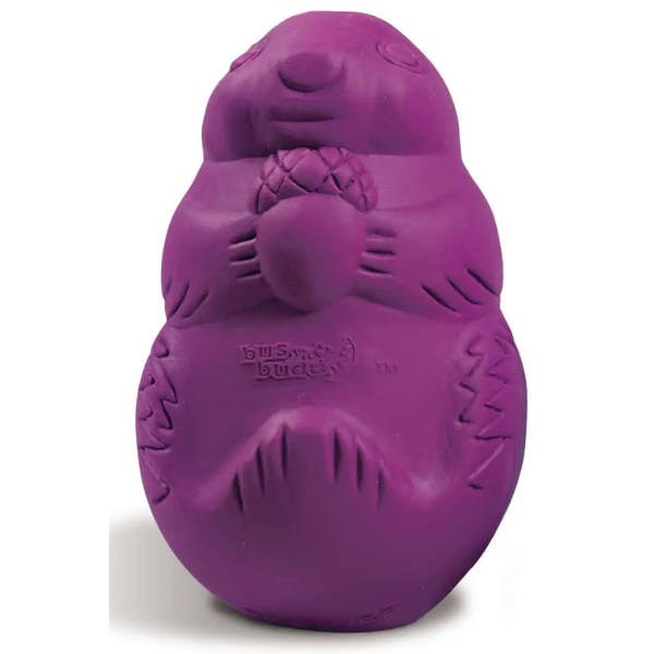 BUSY BUDDY SQUIRREL DUDE X-SMALL