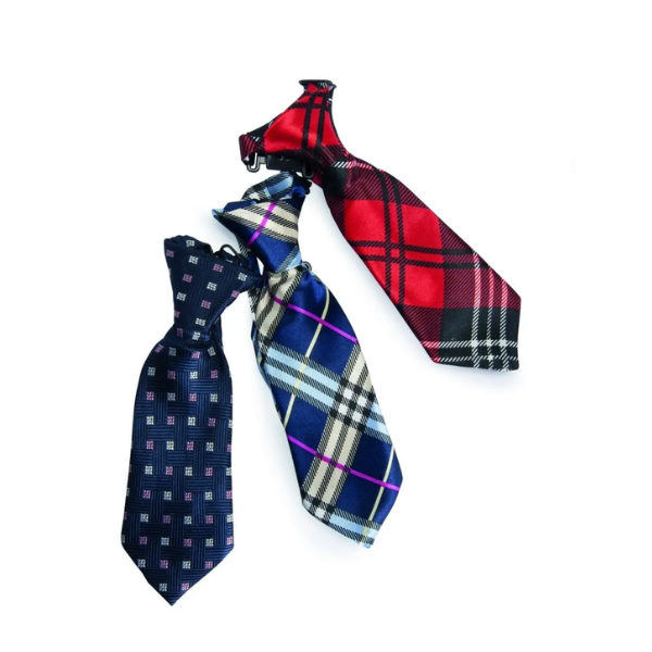 NECKTIE 15X5CM TYPE B